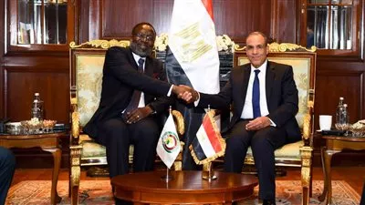 وزير الخارجية يبحث سبل تعزيز التعاون المشترك بين مصر ومفوضية «الإيكواس»