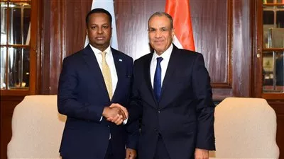 مباحثات مصرية - صومالية حول سبل تعزيز الشراكة ودعم الأمن والاستقرار 