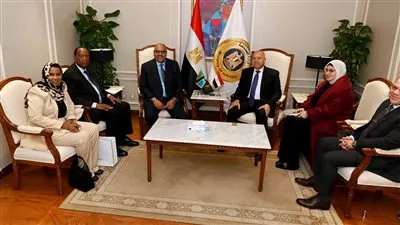 مصر وتنزانيا تبحثان إنشاء منطقة لوجستية و مشروعات صناعية مشتركة