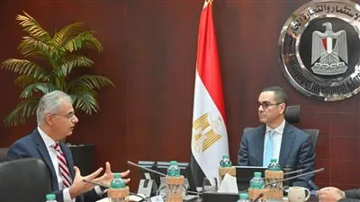 «باور إيديسون» الأمريكية تدرس تصنيع حلول الطاقة المستدامة في مصر