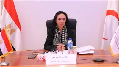 «التضامن» تقر توفيق أوضاع جمعيتين في محافظتي الجيزة القاهرة