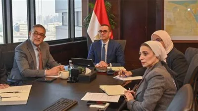 مصر وكوريا الجنوبية تبحثان إجراءات توقيع إتفاقية الشراكة الاقتصادية