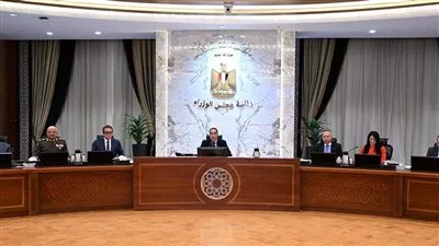 الحكومة تعتمد المعايير الاسترشادية لدراسة إعادة هيكلة الهيئات الاقتصادية