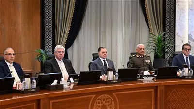 «استثمار مصر» تتولى إنشاء منصة موحدة لخدمات تأسيس وتشغيل وتصفية الشركات