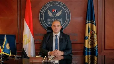 «الرقابة المالية» تصدر نموذج وثيقة تأمين سند الملكية العقارية في مصر