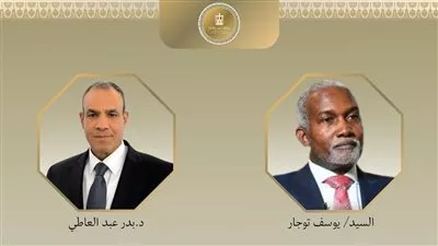 وزير «الخارجية» يبحث تطورات الأوضاع الاقليمية مع نظيره النيجيري 