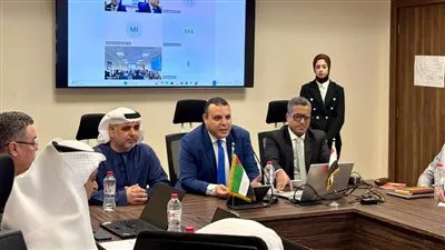 مصر والإمارات تستكملان المفاوضات الفنية لإتمام إتفاقية الشراكة الشاملة 