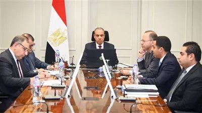 مصر تطالب بعقد جلسة طارئة لمجلس السلم والأمن الأفريقي حول «أرض الصومال»