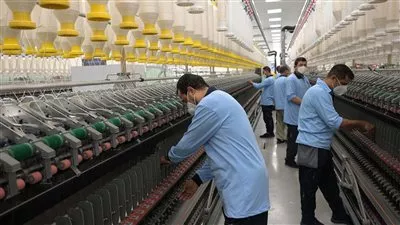 «القابضة للغزل والنسيج» تحقق صادرات بقيمة 2.3 مليار جنيه خلال 2024–2025