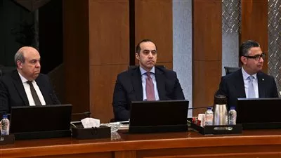 مصر تمد العمل بتأشيرة «الترانزيت» مجاناً حتى أبريل 2027