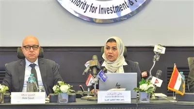 وزارة «الاستثمار» تبدأ التحقيق في زيادة واردات الصاج المدرفل والمجلفن