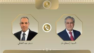 وزير «الخارجية» يبحث تعزيز العلاقات الاقتصادية والتجارية والاستثمارية بين مصر وباكستان