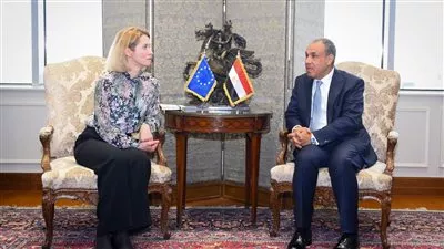 وزير «الخارجية» يبحث إزالة معوقات نفاذ السلع المصرية إلى الأسواق الأوروبية