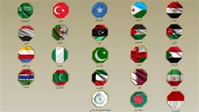 ‎بيان عربي إسلامي مشترك يدين زيارة مسؤول إسرائيلي إلى إقليم «أرض الصومال» 