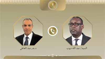 وزير «الخارجية» يبحث سبل التعاون المشترك وجهود مكافحة الإرهاب بين مصر ومالى