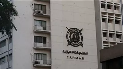 «الإحصاء»: تراجع معدل التضخم السنوي إلى 10.3% خلال ديسمبر الماضي