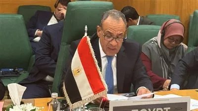 وزير «الخارجية» يؤكد ثوابت الموقف المصري الداعم لوحدة وسيادة وسلامة الأراضي الصومالية