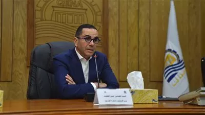 دراسة إنشاء مناطق استثمارية متخصصة لدعم الأنشطة التصديرية في قنا