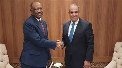 وزير «الخارجية» يؤكد ضرورة تضافر الجهود للتوصل إلى هدنة إنسانية في السودان