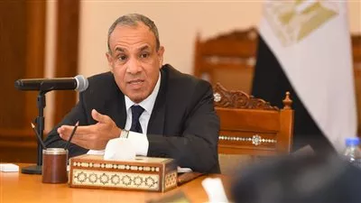 وزير «الخارجية» يؤكد على دور القطاع الخاص لتعزيز الشراكات الاقتصادية مع أفريقيا