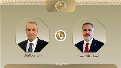 وزير الخارجية يبحث مع نظيره التركي مستجدات القضايا الإقليمية 