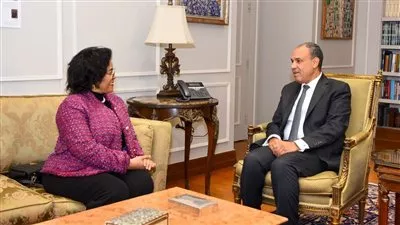 وزير «الخارجية» يبحث مع «النيباد» سبل تعزيز التعاون التنموي في أفريقيا