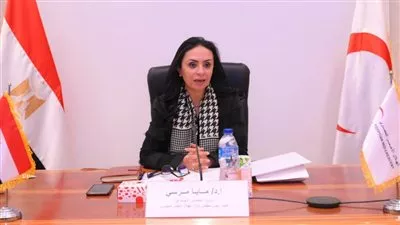 وزارة «التضامن» تقر قيد 4 جمعيات في محافظتي القاهرة ودمياط