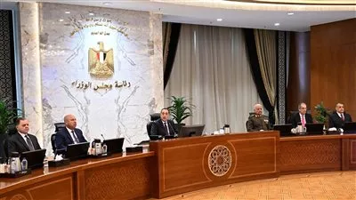 مجلس الوزراء يوافق على تخصيص 823 فدان لتطوير مطار العريش