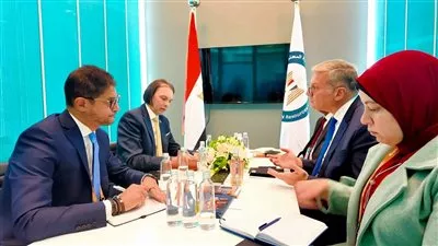 وزير «البترول» يبحث التعاون مع «شلمبرجير» في مجال المعادن الحيوية