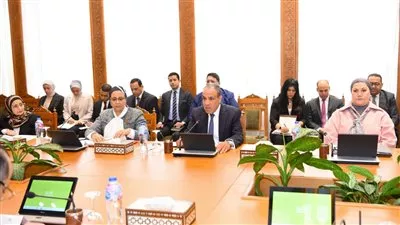 وزير «الخارجية» يترأس الاجتماع الوزاري السادس للجنة العليا الدائمة لحقوق الإنسان