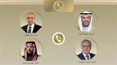 وزير «الخارجية» يبحث مع نظرائه في السعودية والكويت وباكستان تطورات القضايا الإقليمية