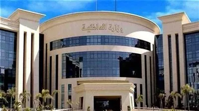 «الداخلية» تقرر السماح لـ 127 مواطنًا مصريًا بالحصول على جنسيات أجنبية