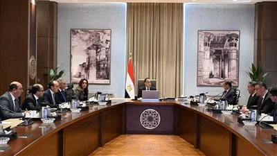 الحكومة تخصص قطع أراضي لإقامة مراكز إيواء للكلاب الضالة في 4 محافظات