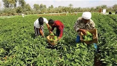 تعديل النظام الداخلي لـ 5 جمعيات زراعية في محافظتي الغربية والبحيرة