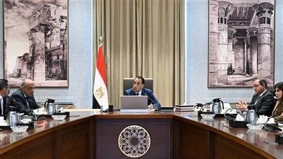 رئيس الوزراء يتابع جهود جذب استثمارات جديدة في قطاع الطاقة