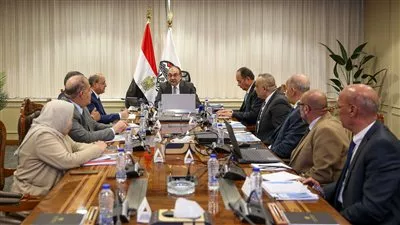 وزير «قطاع الأعمال» يتابع مستجدات مشروع «بيوراديف» لإنتاج حبيبات وأقراص الكلور