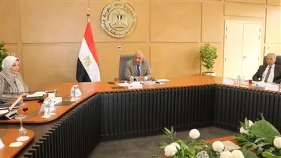وزير «الكهرباء» يتابع مستجدات تنفيذ مشروعات الطاقة المتجددة وتطوير الشبكة الموحدة