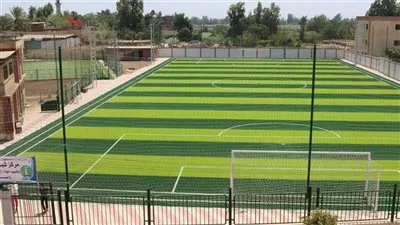 وزارة «الرياضة» تقر إشهار مركزي شباب بمحافظتي البحيرة والمنيا