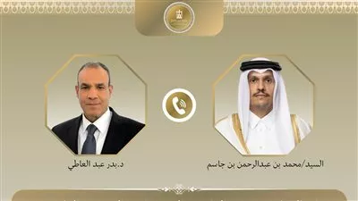 وزير «الخارجية» يبحث مع نظيره القطري العلاقات الثنائية والقضايا الإقليمية
