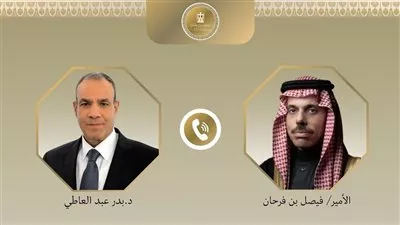 وزير «الخارجية» يبحث مع نظيره السعودي تطورات الأوضاع الإقليمية الراهنة