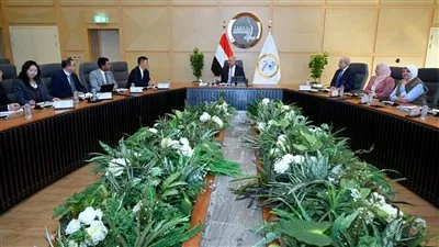 إنشاء مجمع لإنتاج الألواح الصناعية في مصر باستثمارات 10 مليارات دولار