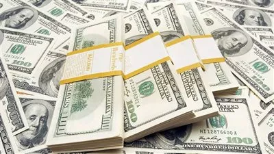 سعر الدولار في البنوك المصرية اليوم الثلاثاء 3 فبراير 2026