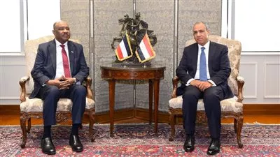 وزير «الخارجية» يبحث مع نظيره السوداني سبل دعم جهود التسوية الشاملة