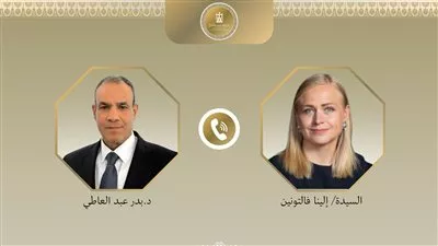 وزير «الخارجية» يبحث مع نظيرته الفنلندية تشكيل مجلس الأعمال المشترك بين البلدين