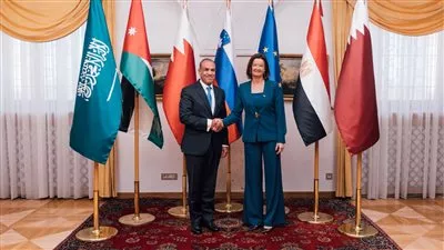 وزير «الخارجية» يؤكد موقف مصر الثابت تجاه دعم حل وتسوية القضية الفلسطينية