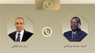 وزير «الخارجية» يبحث مع نظيره الكيني سبل تعزيز العلاقات الثنائية بين البلدين