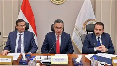 اتفاق ثلاثي لإستيراد دواجن مجمدة وطرحها بالمنافذ قبل شهر رمضان