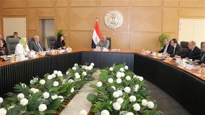 «المصرية لنقل الكهرباء» تضخ 26.3 مليار جنيه استثمارات خلال 2024-2025