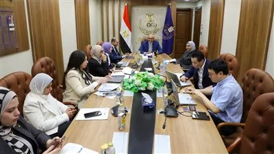 هيئة «الدواء» تبحث مع «إيرث كوربوريشن» اليابانية فرص الاستثمار في مصر