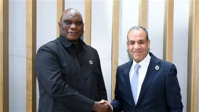 مصر تسعى لتنفيذ مشروعات بمجالات التشييد والطاقة والبنية التحتية فى جامبيا